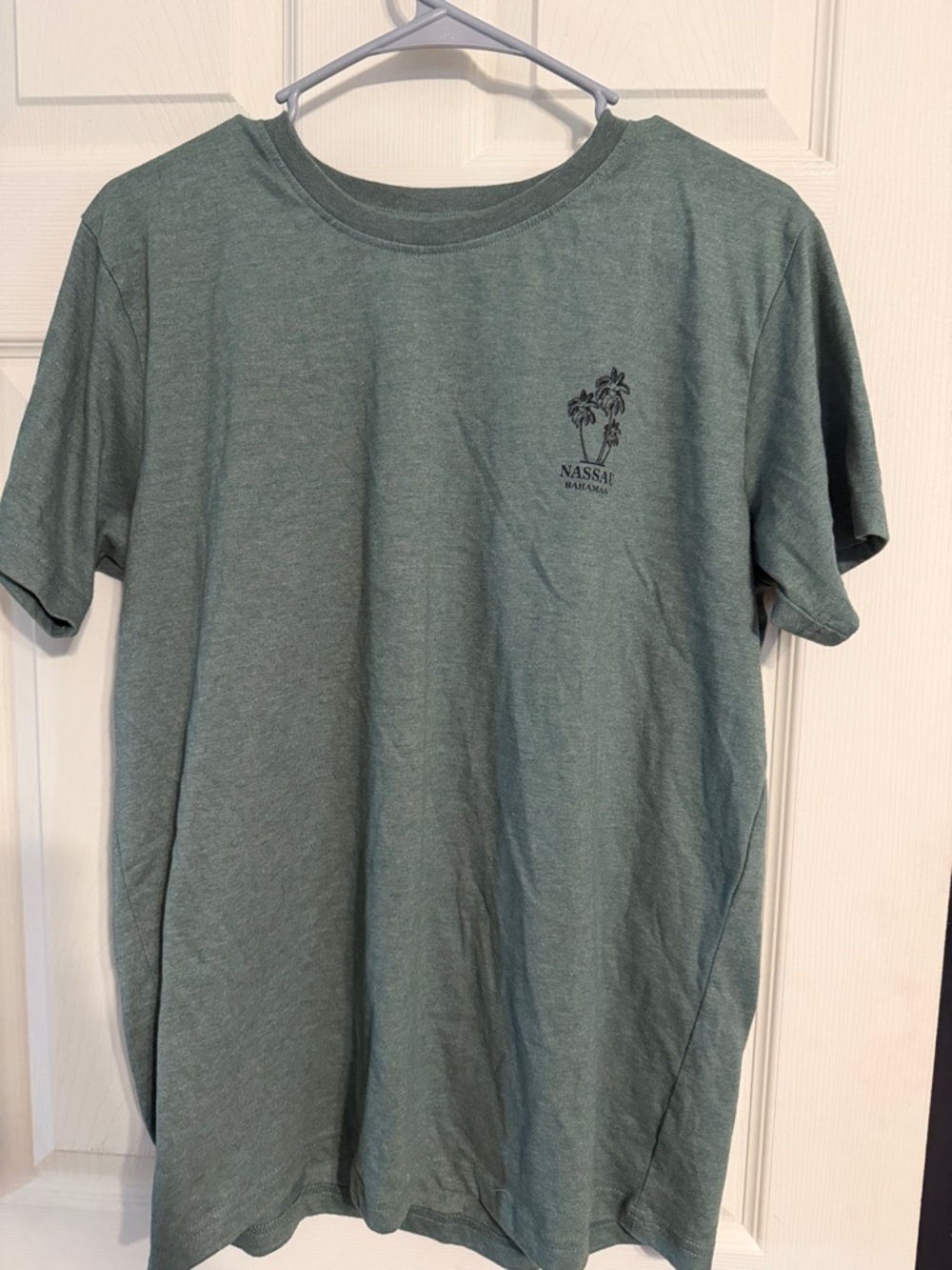Bay Palm Graphic Men’s T-Shirt - Green